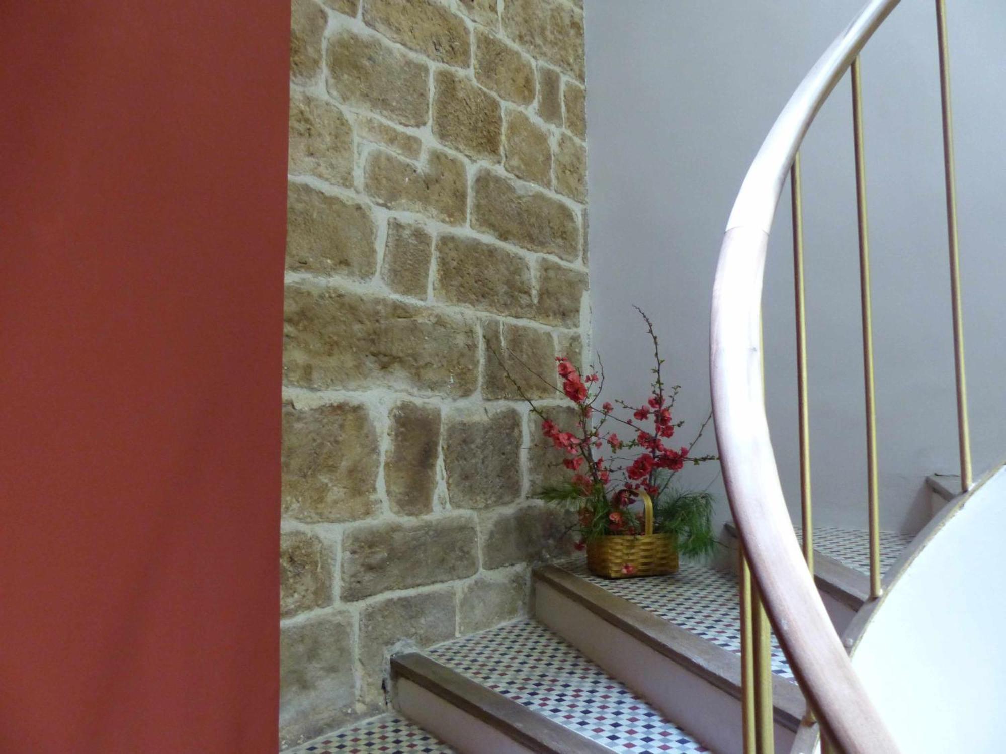 Appartement Abside de San Juan III à Estella Extérieur photo